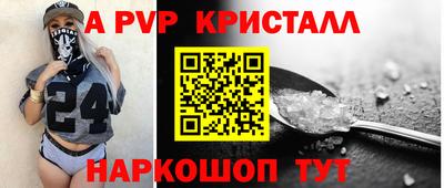 ешки Кингисепп