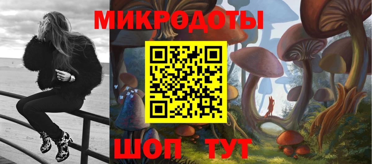 Галлюциногенные грибы Psilocybe Красноуфимск