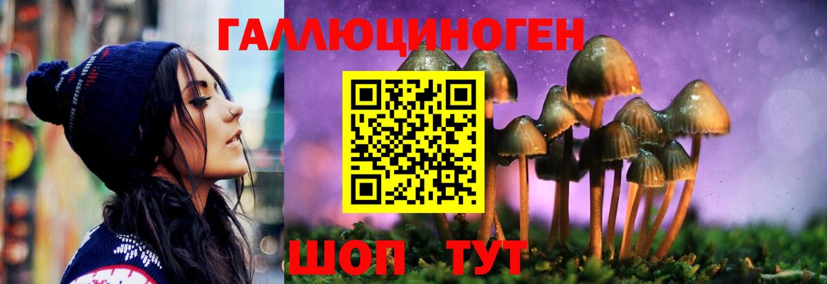 Псилоцибиновые грибы Magic Shrooms  Вход с VPN  Красноуфимск 